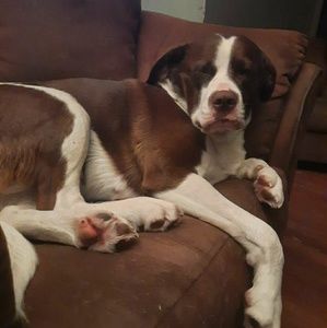 Meet your Posher, Kat